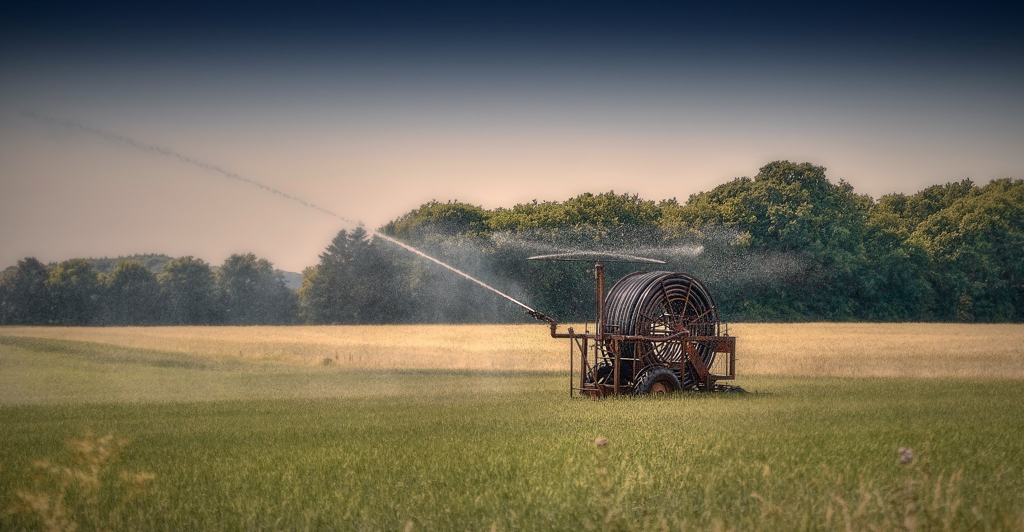 288662408_10227828647606691_8252285151915505815_n